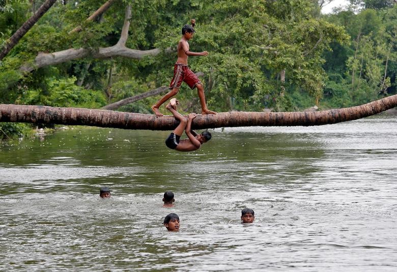 A boy prepares to jump from a fallen coconut tree into a lake on a hot summer day in Kolkata, India. REUTERS/Rupak De Chowdhuri    